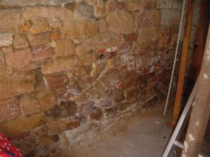 Schimmel im Keller